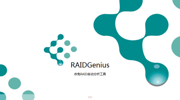 RAIDԶָ V11.3