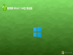 ƻϵͳv2024.05win8.1 64λ칫ְ