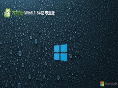 ײ64λwin8.1ഺưv2024.05