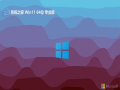 ϵͳ֮⼤win11 64λưv2024.04