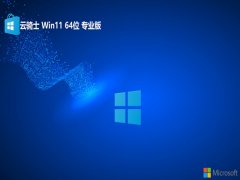 ʿwin11 64λͨv2025.05