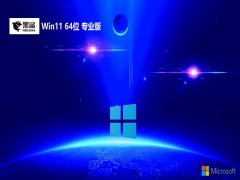 ϵͳv2025.05win11 64λؾİ