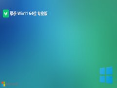 ̲ϵͳ64λwin11ȥʽv2025.05