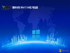 ľ⼤win11 64λѹv2024.05