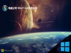 Թ˾win11 64λ׼ְv2025.05⼤