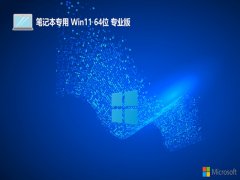 ʼǱ64λwin11ҵ°v2025.05