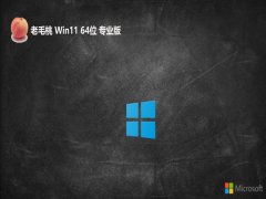 ë64λwin11Ȱv2025.05